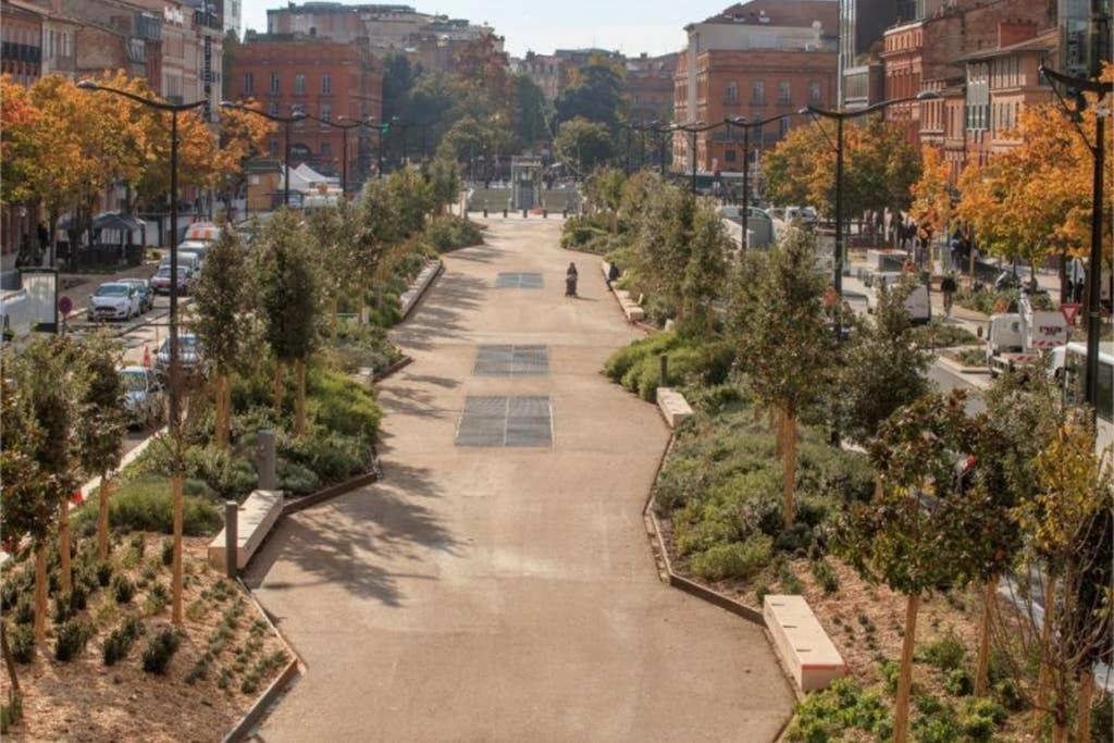 Canal Du Midi, Cosy City Center Apt, Train Station Toulouse Exterior foto